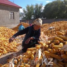 Путешествие в Отырарский район ЮКО Отырарский район ЮКО