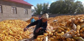 Путешествие в Отырарский район ЮКО Отырарский район ЮКО