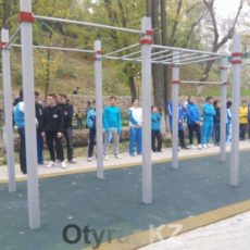 Призываю начать возрождать массовый спорт и физическую подготовку