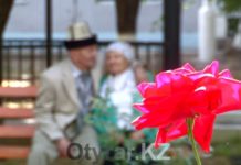 В Шымкенте отметили День пожилых людей