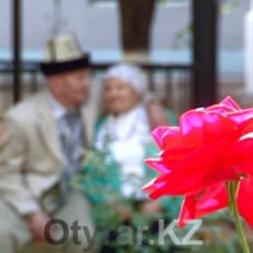 В Шымкенте отметили День пожилых людей