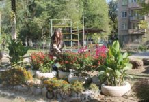 В Шымкенте подвели итоги конкурса на звание лучшего двора и улицы конкурс