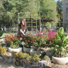 В Шымкенте подвели итоги конкурса на звание лучшего двора и улицы конкурс