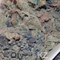 25-килограммовый клад медных монет найден в Южном Казахстане