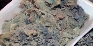 25-килограммовый клад медных монет найден в Южном Казахстане