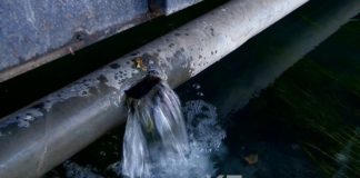 В Шымкенте в Кошкарату сливают сточные воды из канализации