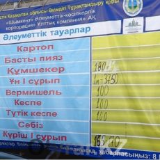 Инфляция в Южно-Казахстанской области в 2015 году составила 13,2%