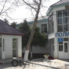 В ЮКО девушка инсценировала собственное похищение Сарыагашское РУВД