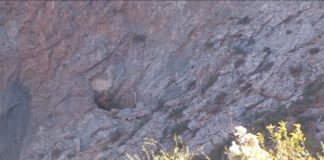 В горах Южного Казахстана обнаружена неизвестная пещера Пещера в горах