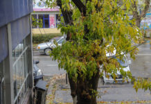 Верните решётку на арык