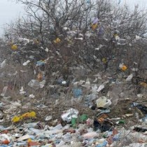 900 миллионов пластиковых пакетов ежегодно загрязняют Казахстан