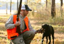 Сроки охоты на птиц и животных в ЮКО Сезон охоты