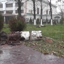 В шымкентском парке имени Абая пилят большие деревья