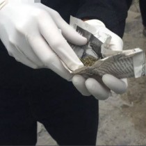 Марихуана. Наркотики