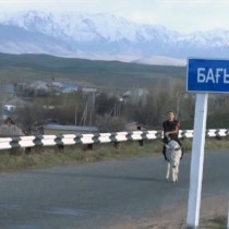 Южноказахстанцы переезжают на север Казахстана