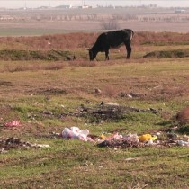 «Кайнар-Булак» утопает в твердых бытовых отходах