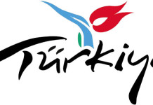 Заявление на визу в Турцию можно подать онлайн