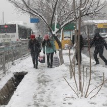 Снег в Шымкенте. Зима