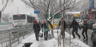 В Шымкенте в выходные ожидается снег и туман