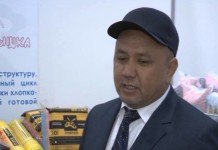 Средний бизнес Южного Казахстана борется за выживание в кризис