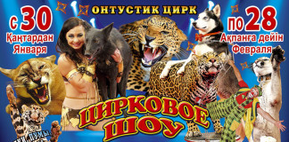 В Шымкент приехал цирк хищников