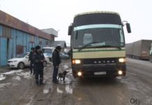 1000 нарушений ПДД и 18 пьяных за рулем — итоги одного дня рейда дорожных полицейских ЮКО Рейд "Безопасная дорога"