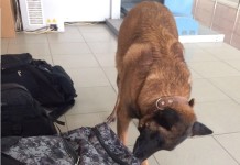 В Шымкенте проходит операция «Допинг»