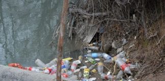 Активисты Шымкента начали акцию за чистоту города