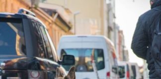 В Казахстане новые правила содержания домашних животных
