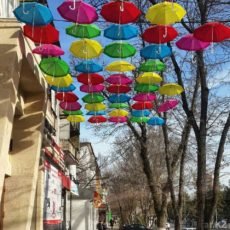 Шымкентские зонтики дарят настроение горожанам