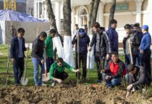 На общегородской субботник приглашает горожан акимат Шымкента На первый общегородской субботник в Шымкенте вышли исключительно мужчины