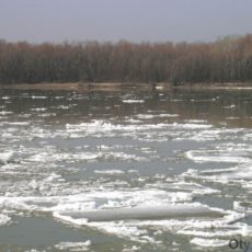 Разрушение ледостава в ближайшие дни ожидается на реке Сырдарья ледостав на реке