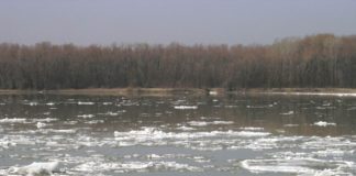 Разрушение ледостава в ближайшие дни ожидается на реке Сырдарья ледостав на реке