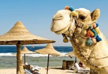 Составлен ТОП раздражающих привычек казахстанских туристов