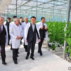 Министр сельского хозяйства РК рассказал, откуда берутся астрономические цены на казахстанские овощи