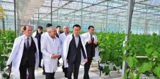 Министр сельского хозяйства РК рассказал, откуда берутся астрономические цены на казахстанские овощи