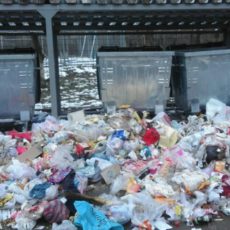 В Шымкенте люди очень бережно относятся к мусорным контейнерам