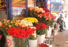 В Шымкенте покупка живых цветов — занятие не из дешевых Живые цветы