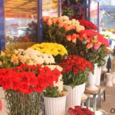 Цветочный базар в Шымкенте