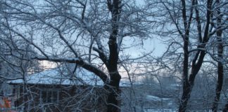 Какой будет предстоящая зима в Казахстане