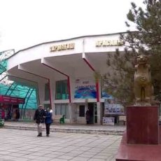 Южноказахстанский Сарыагаш хотят превратить в Карловы Вары