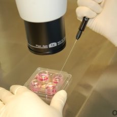 В Казахстане 800 семей получат квоту на ЭКО