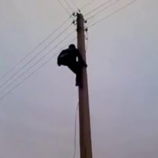В Шымкенте появился человек-паук