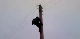 В Шымкенте появился человек-паук