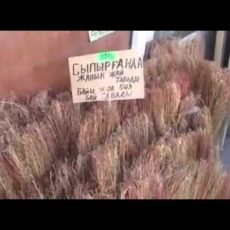 В Шымкенте волшебный веник гарантирует замужество