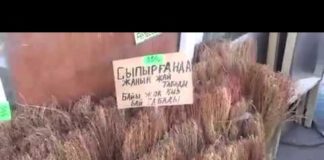 В Шымкенте волшебный веник гарантирует замужество