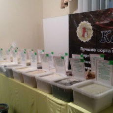 Мёд пасеки Калашниковых