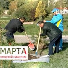 Шымкентские мужчины стали более востребованы