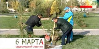 Шымкентские мужчины стали более востребованы