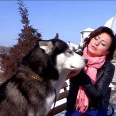 Бесстрашная дрессировщица цирка Джина и летающий корреспондент